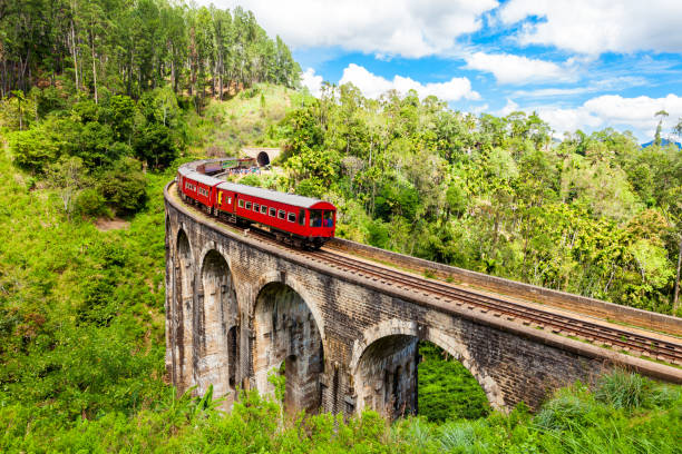 Train on the Nine Arches Demodara Bridge or the Bridge in the sky. Nine Arches Bridge is located in Demodara near Ella city, Sri Lanka.