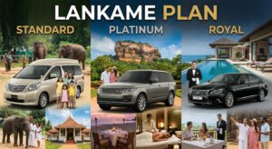 ランカミーの各プラン(スタンダード/プラチナ/ロイヤル)の違いとは？